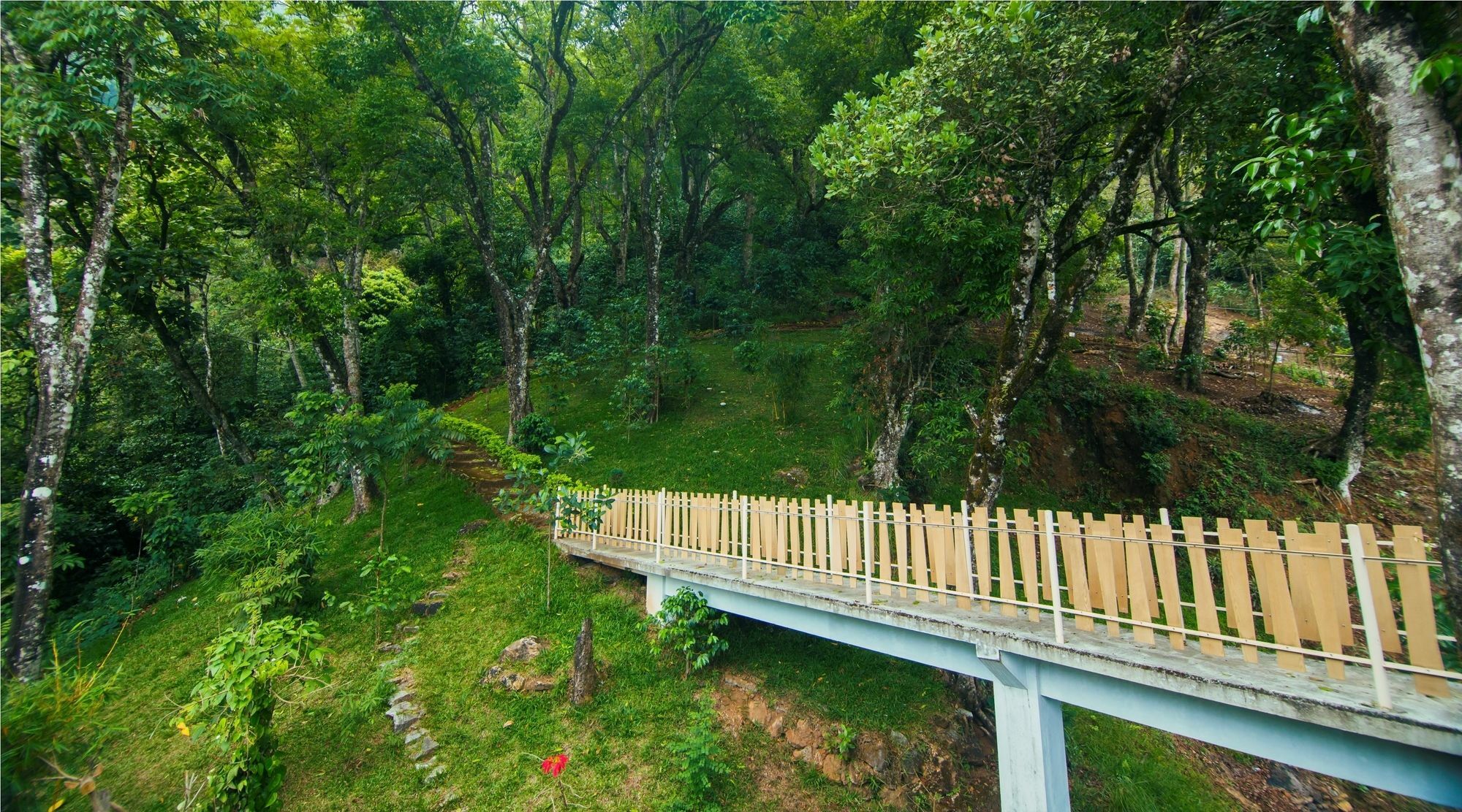 Forest Glade Resorts Chithirapuram Exterior foto
